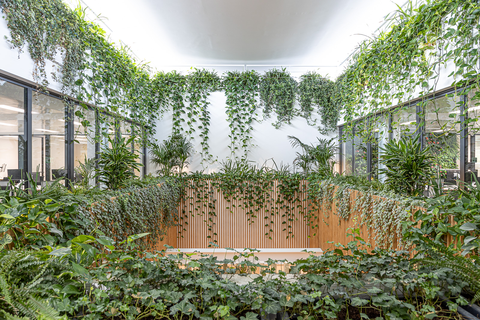 construccion circular - oficinas Grupo Construcia